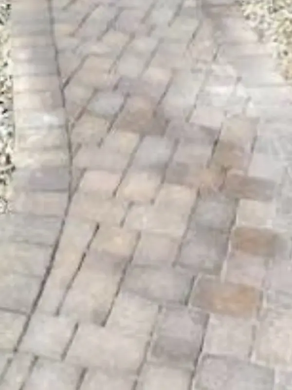 Curved paver walkway faded and dirty before cleaning