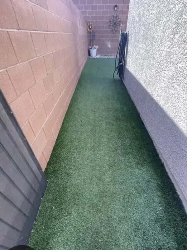 Side-yard artificial turf dull and matted before cleaning