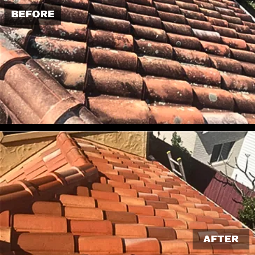 Tile Roof Cleaning
